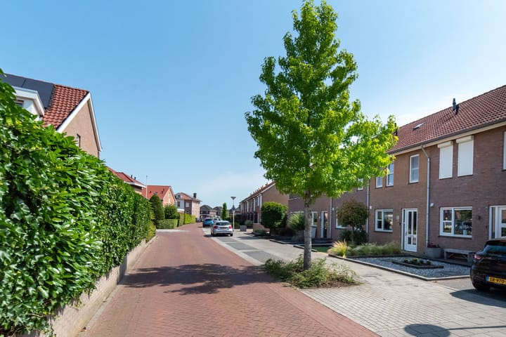 Foto 2 van Dovenetel 6