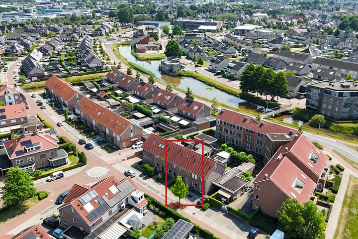 Foto 3 van Dovenetel 6