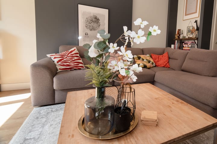 Foto 8 van Dovenetel 6