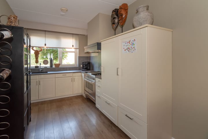 Foto 14 van Dovenetel 6