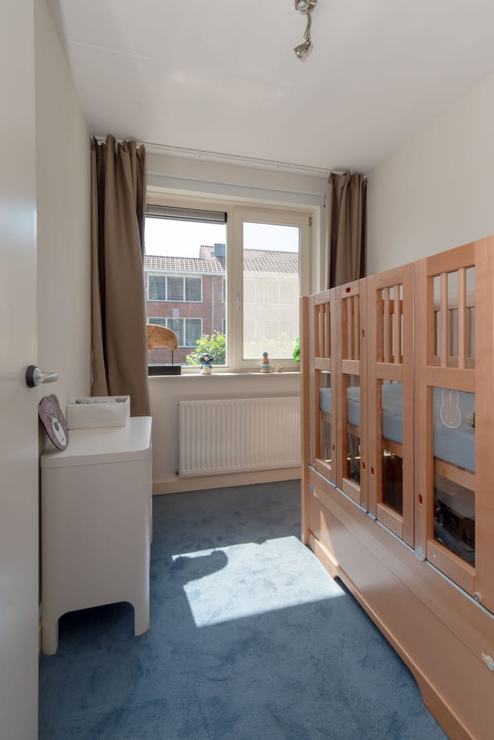 Foto 26 van Dovenetel 6