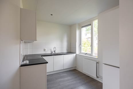 Nijensteinheerd 264 secondary image