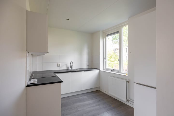 Foto 2 van Nijensteinheerd 264