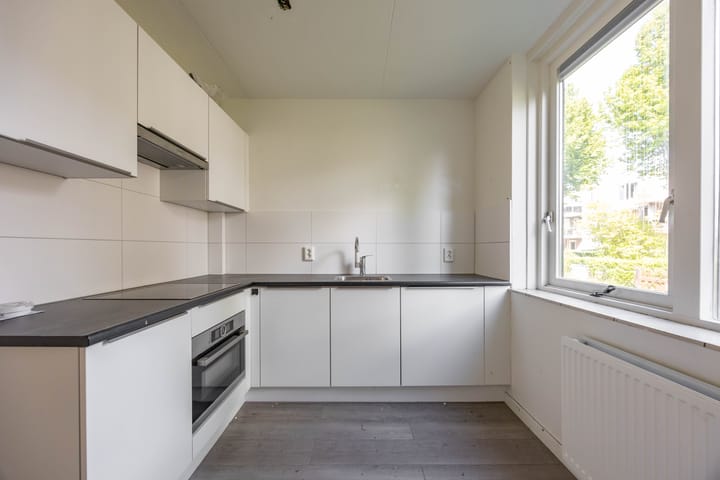 Foto 7 van Nijensteinheerd 264