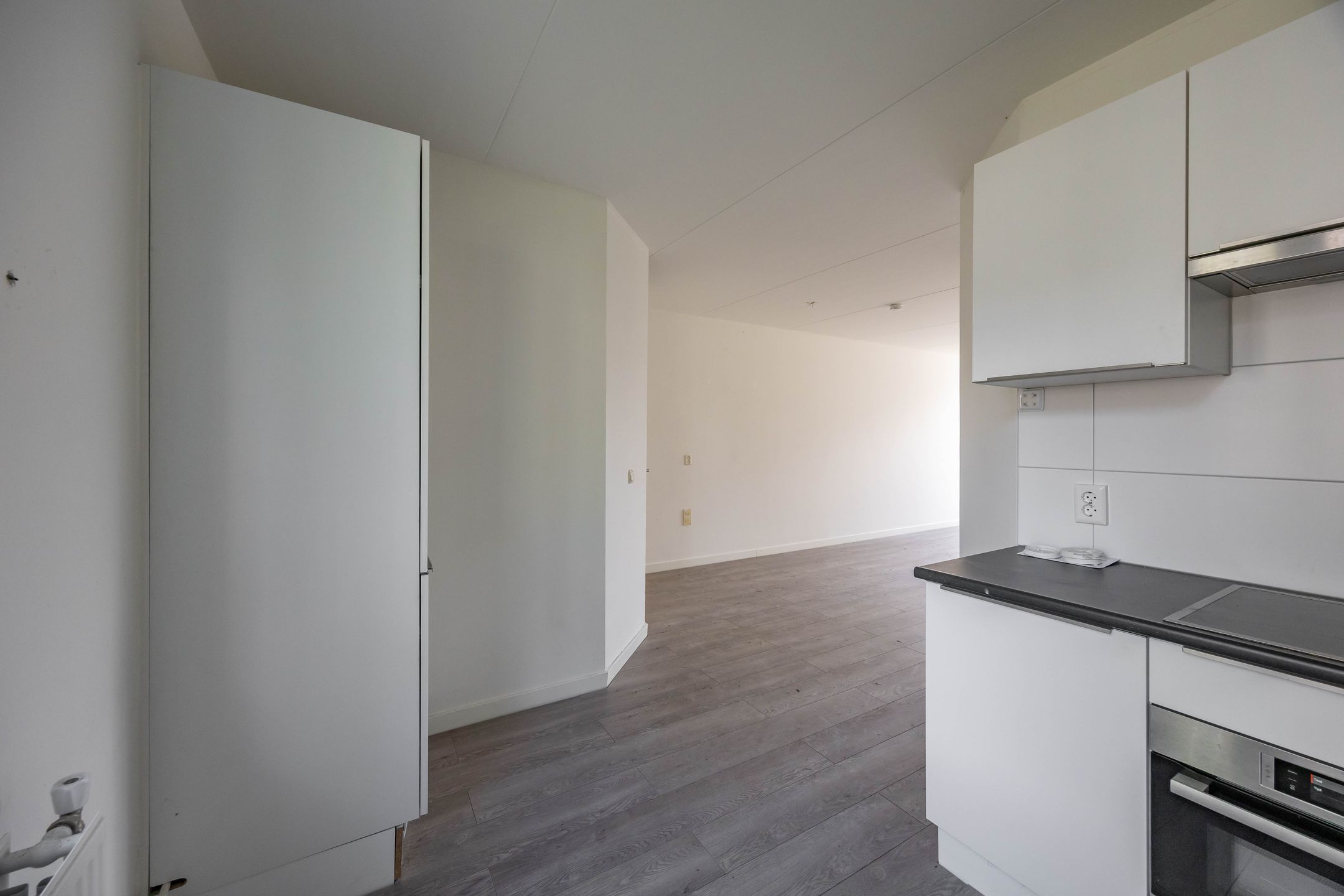 Foto 9 van Nijensteinheerd 264