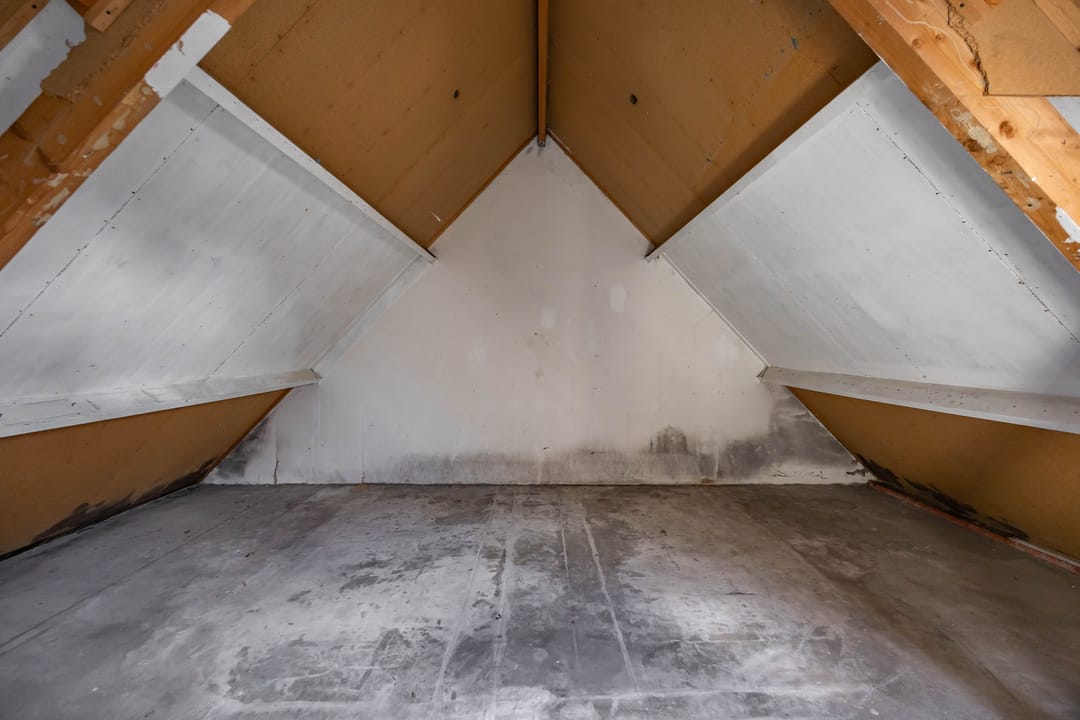 Foto 31 van Nijensteinheerd 264