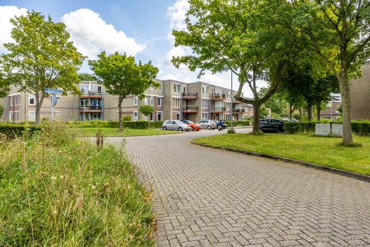 Foto 34 van Nijensteinheerd 264