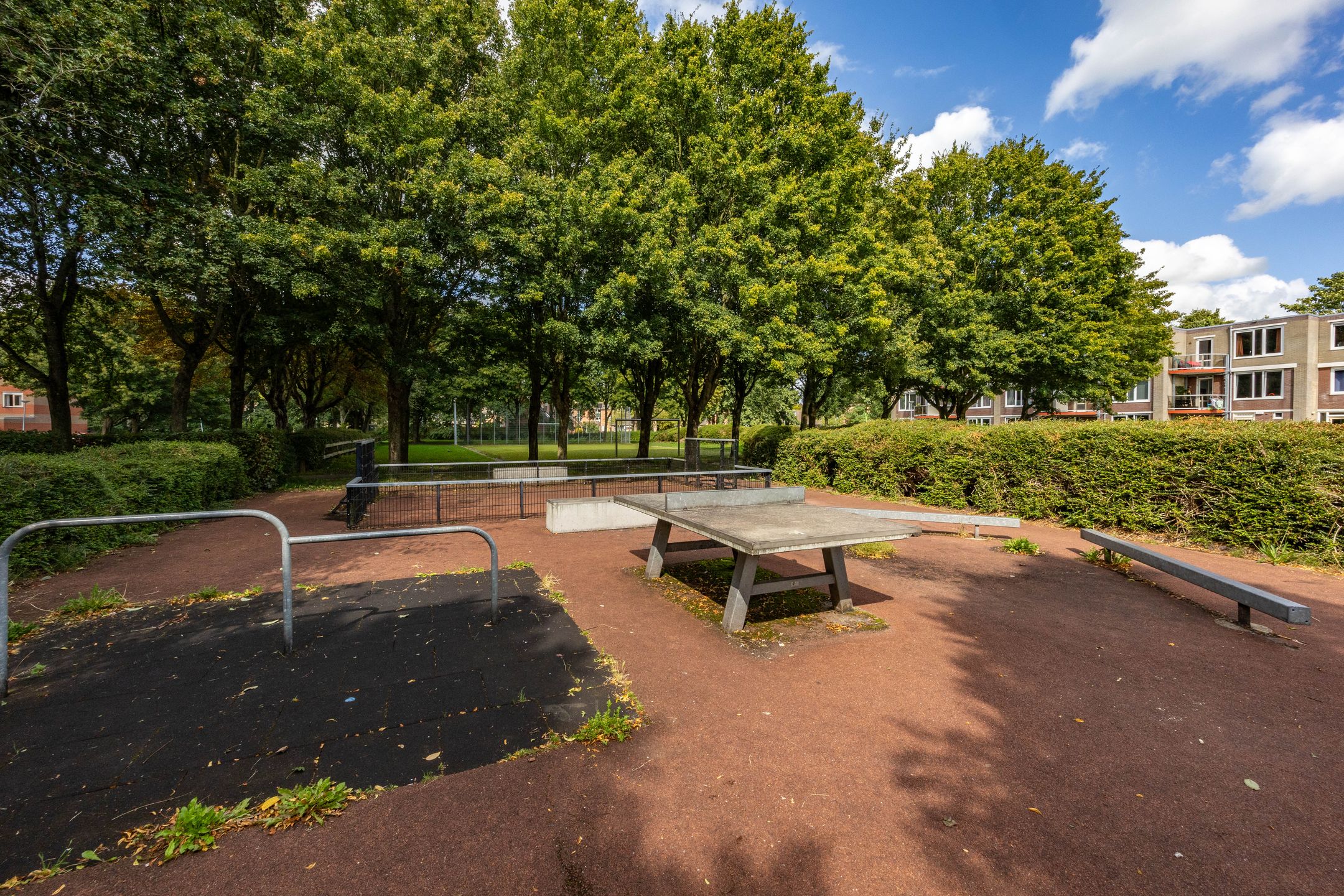 Foto 36 van Nijensteinheerd 264