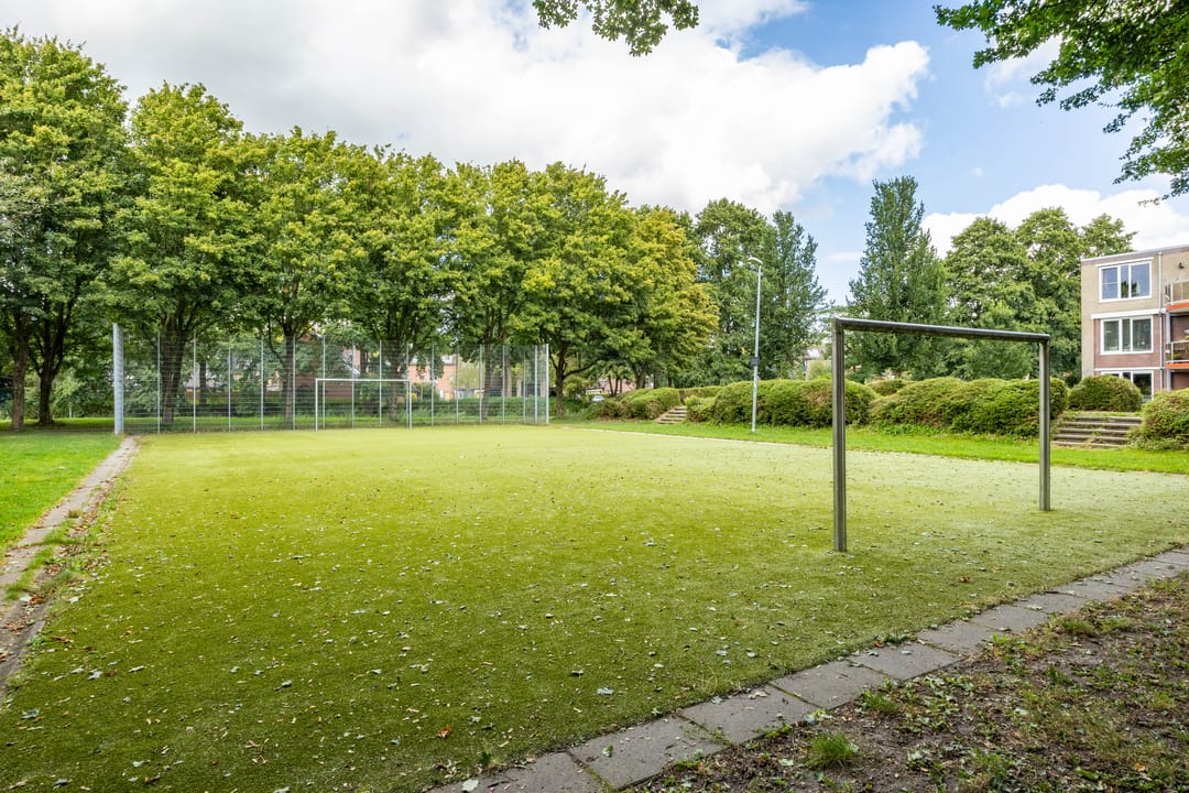 Foto 37 van Nijensteinheerd 264