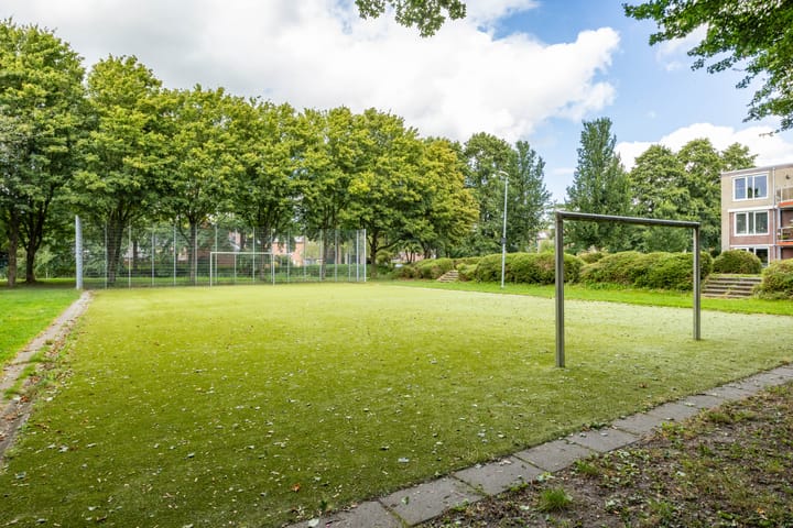 Foto 37 van Nijensteinheerd 264