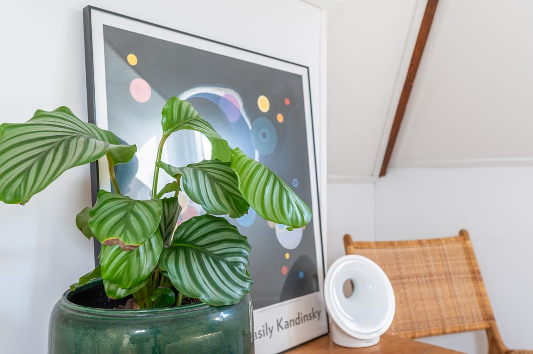 Foto 32 van Nieuwe Binnenweg 321-B02