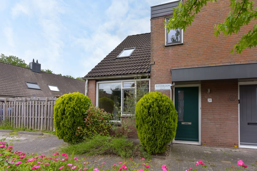 Foto 2 van Boterbloem 26