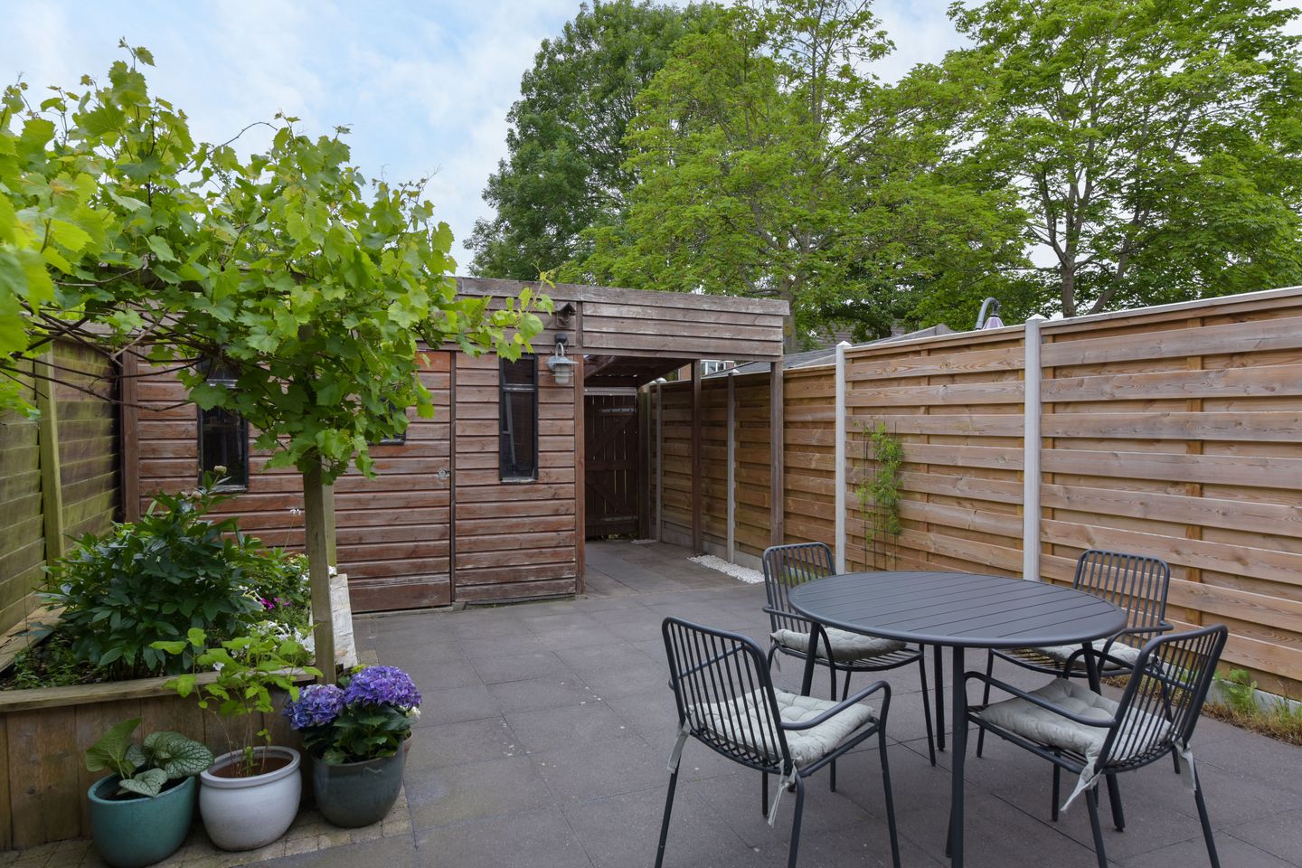 Foto 19 van Boterbloem 26