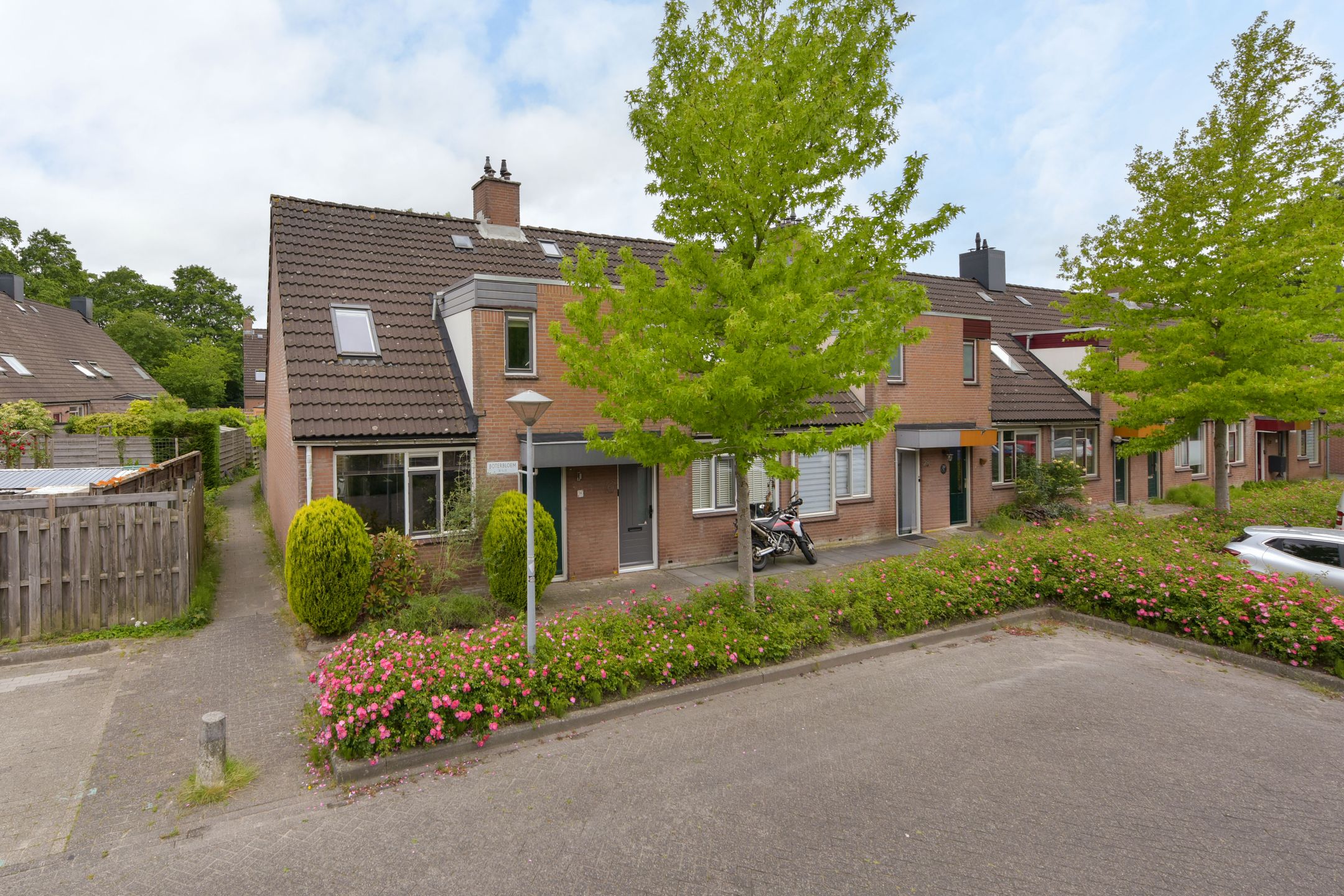 Foto 24 van Boterbloem 26