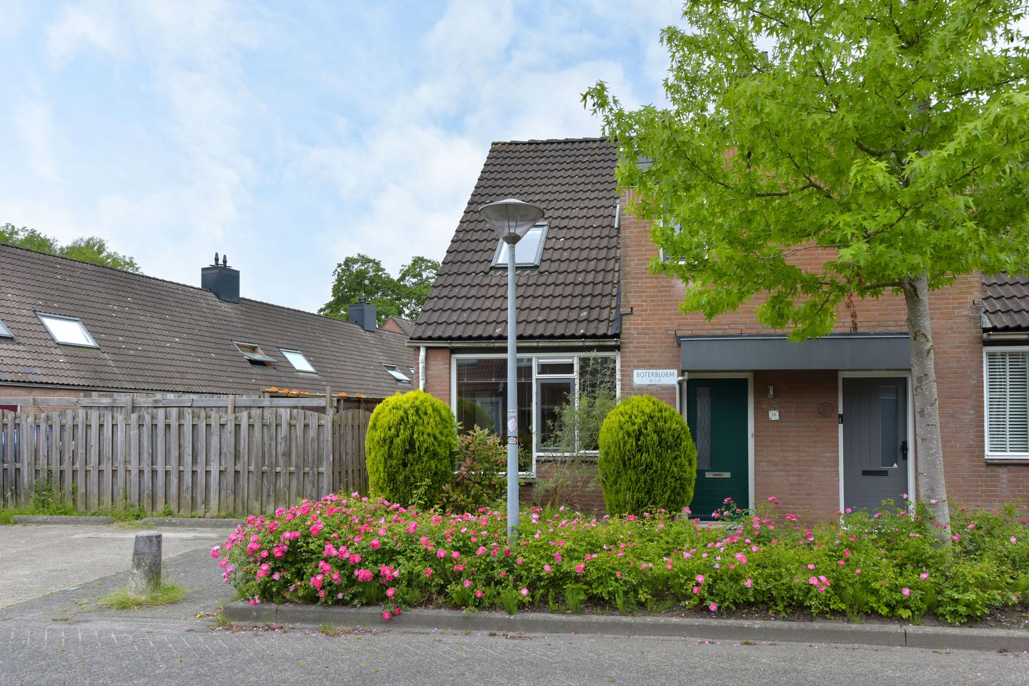 Foto 25 van Boterbloem 26