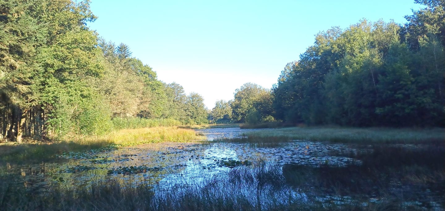 Photo 34 of Slenerweg 83-27