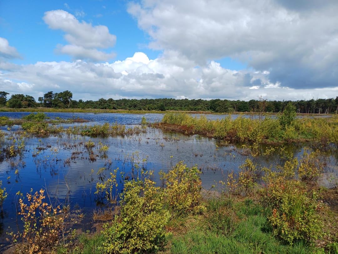 Photo 37 of Slenerweg 83-27