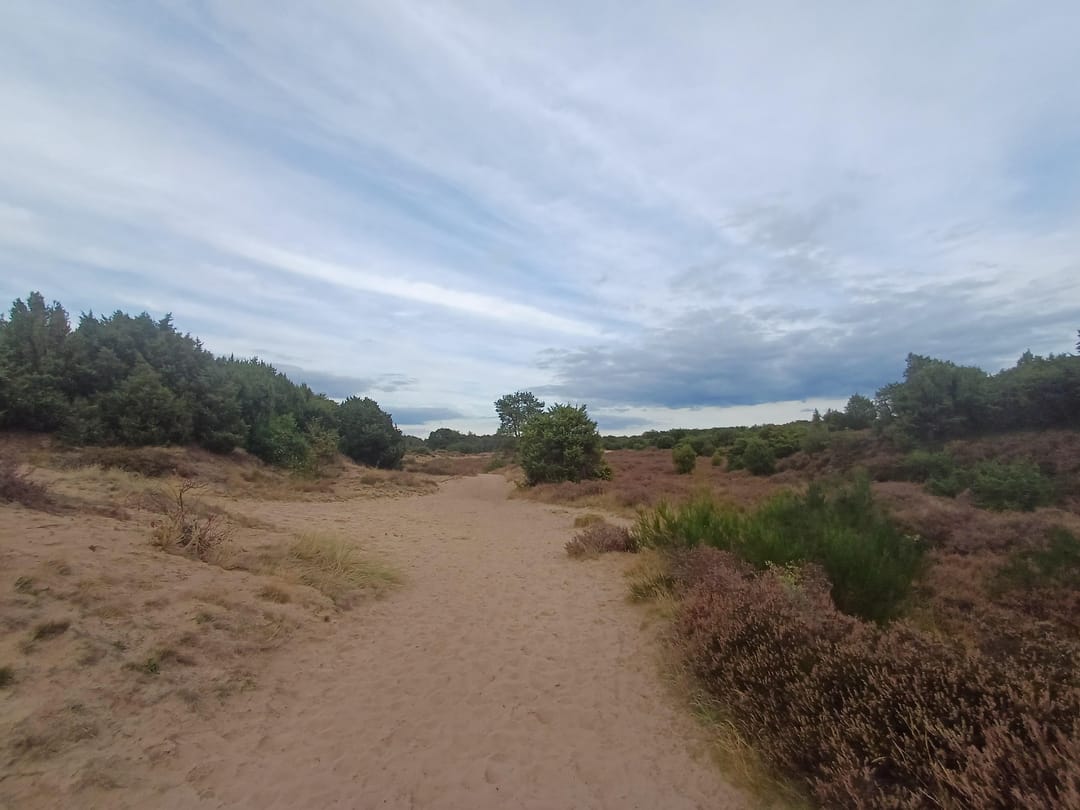 Photo 38 of Slenerweg 83-27