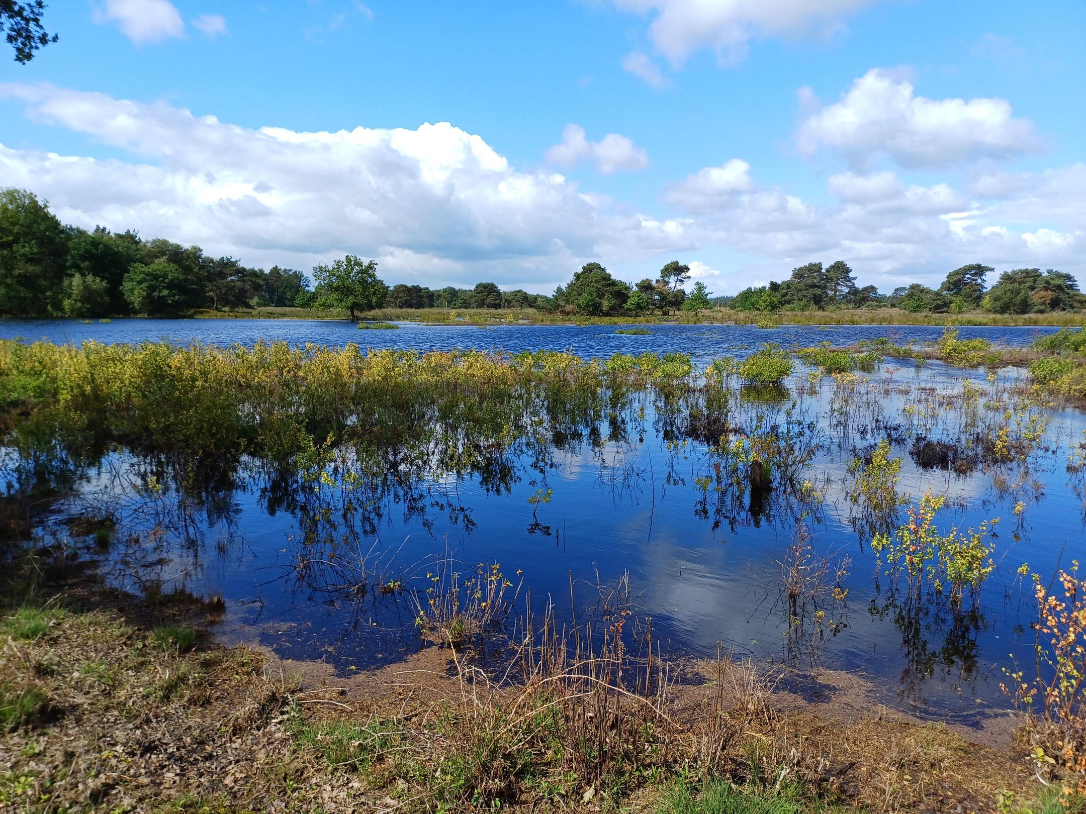 Photo 36 of Slenerweg 83-27