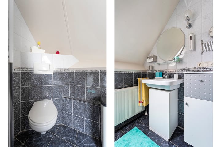 Photo 28 of Liguster 22