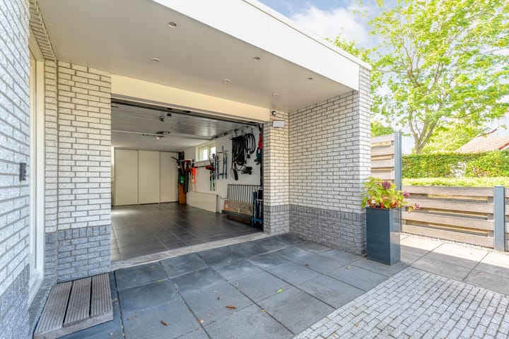 Photo 30 of Liguster 22