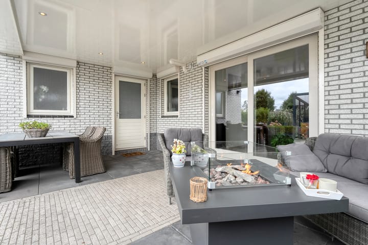 Photo 31 of Liguster 22