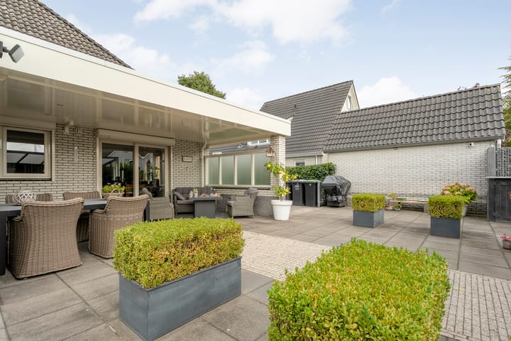 Photo 32 of Liguster 22