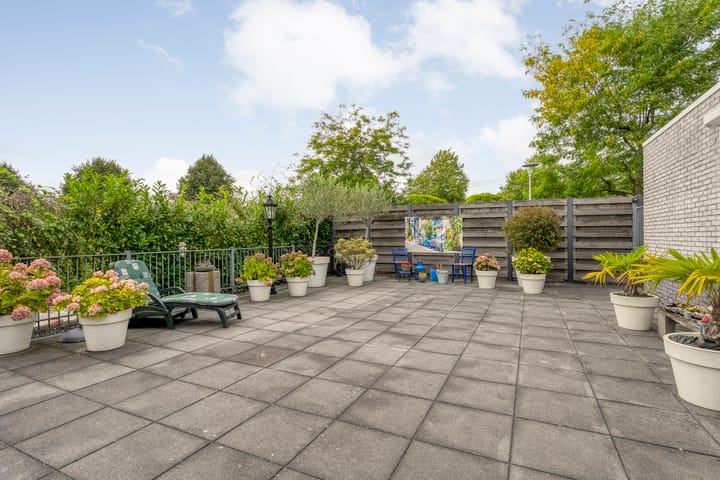 Photo 34 of Liguster 22