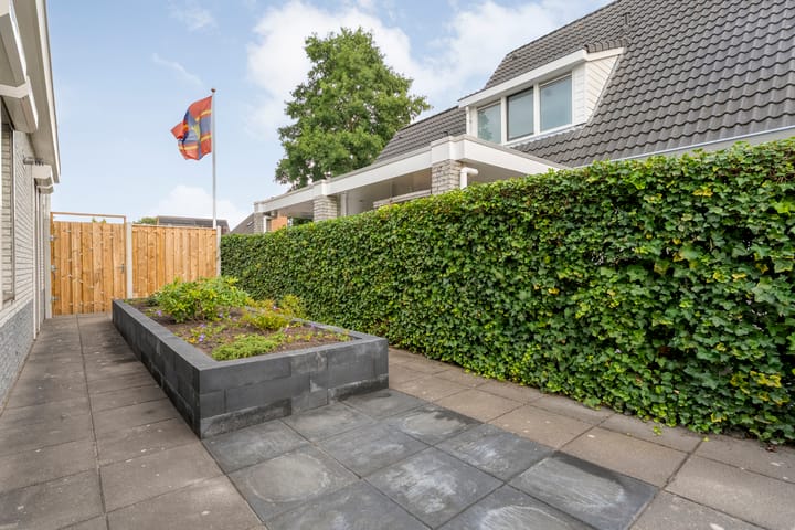 Photo 35 of Liguster 22