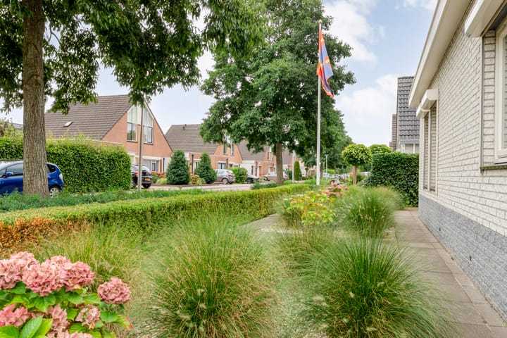 Photo 38 of Liguster 22