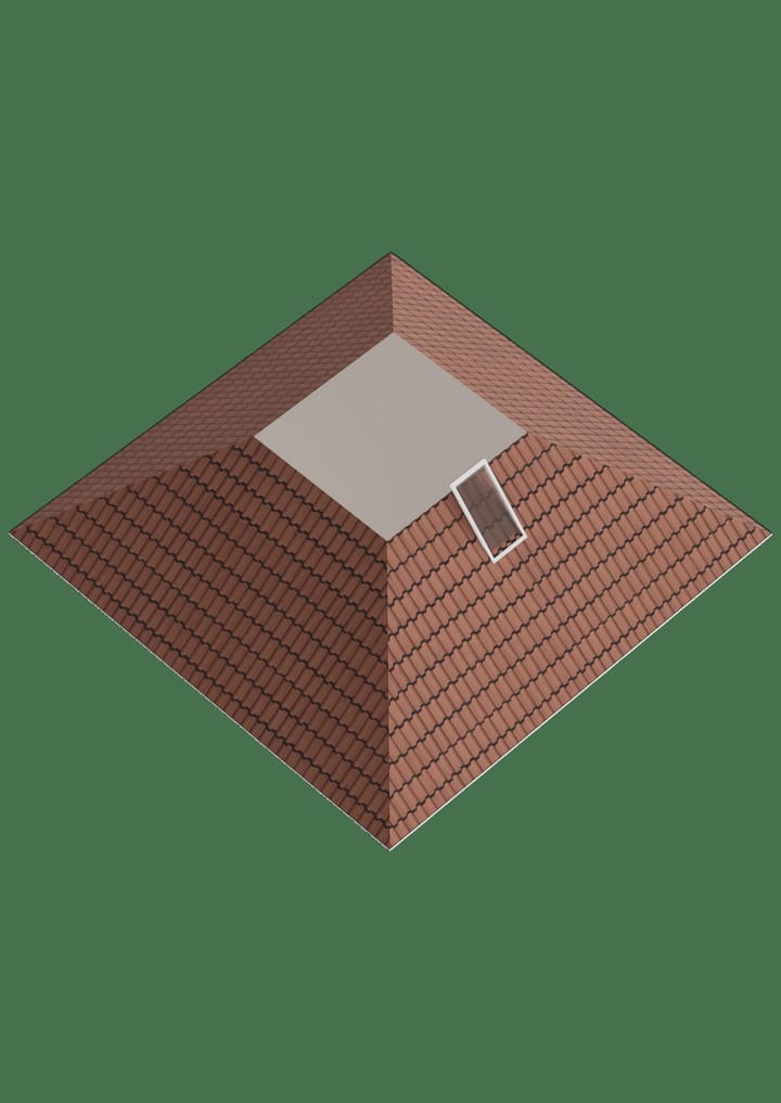 Photo 46 of Liguster 22