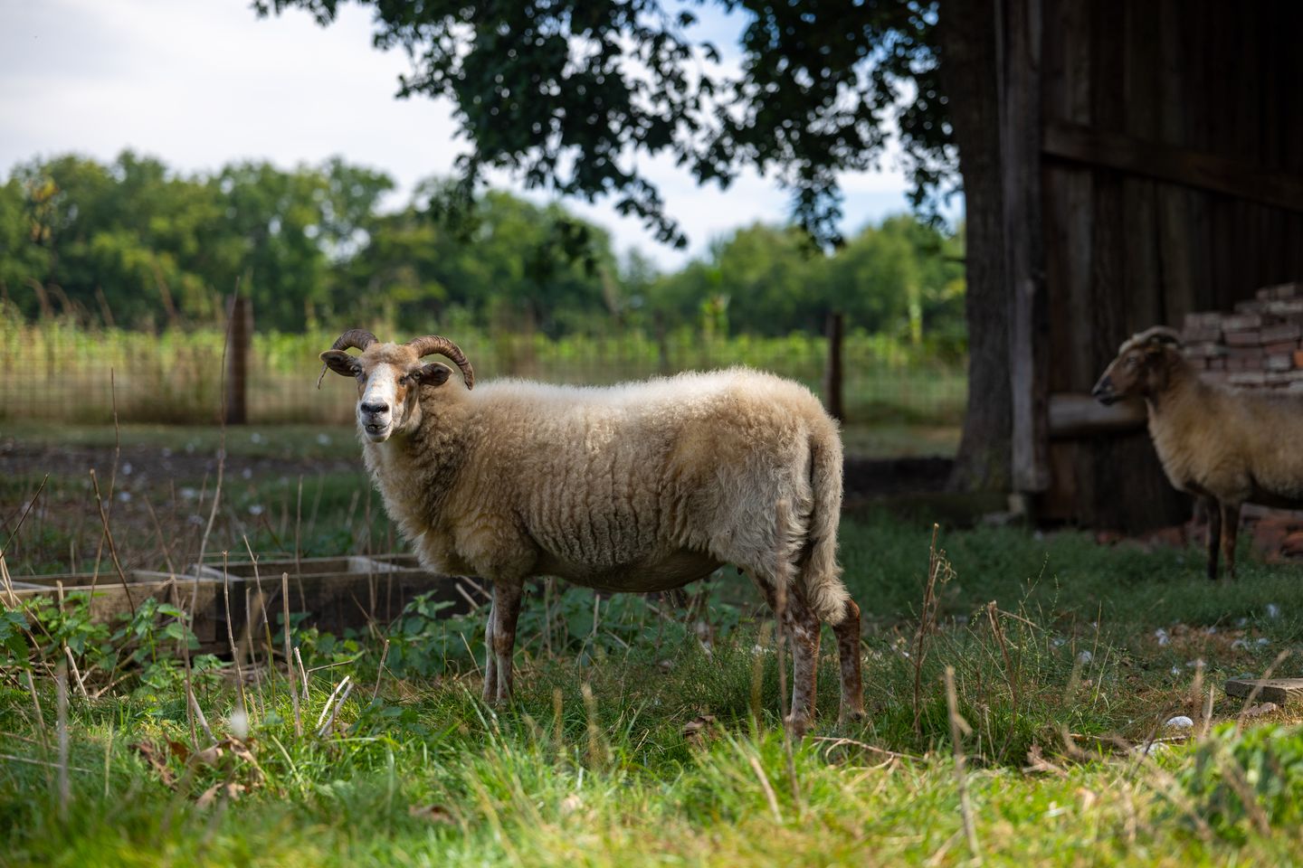 Foto 25 van Dwarsweg 21