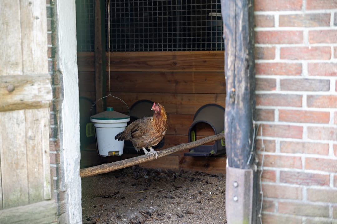 Foto 28 van Dwarsweg 21