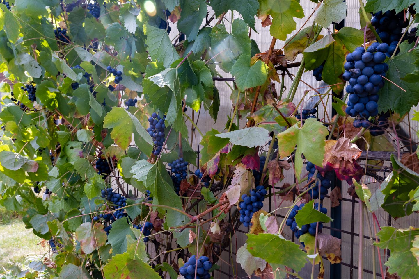 Foto 29 van Dwarsweg 21