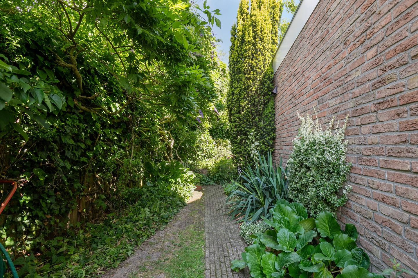 Photo 49 of Grameystraat 15