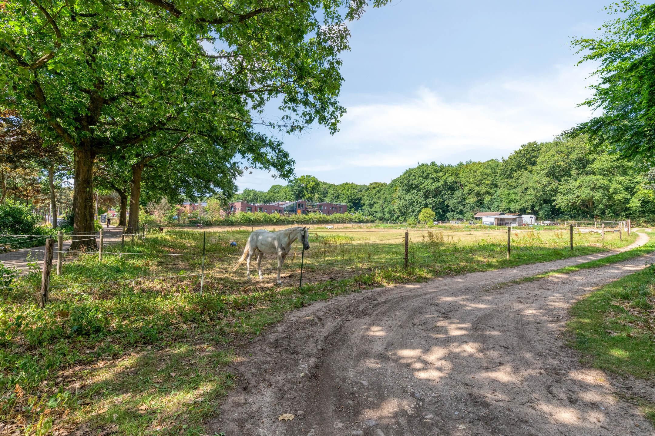 Photo 57 of Grameystraat 15