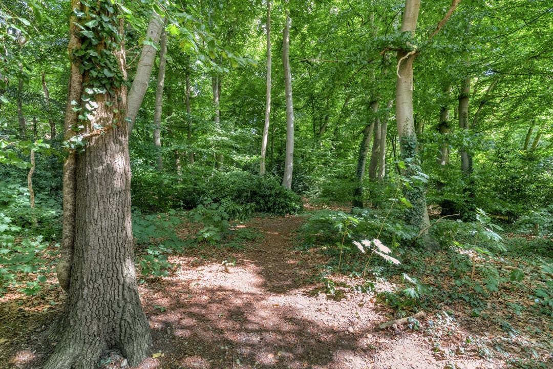 Photo 56 of Grameystraat 15