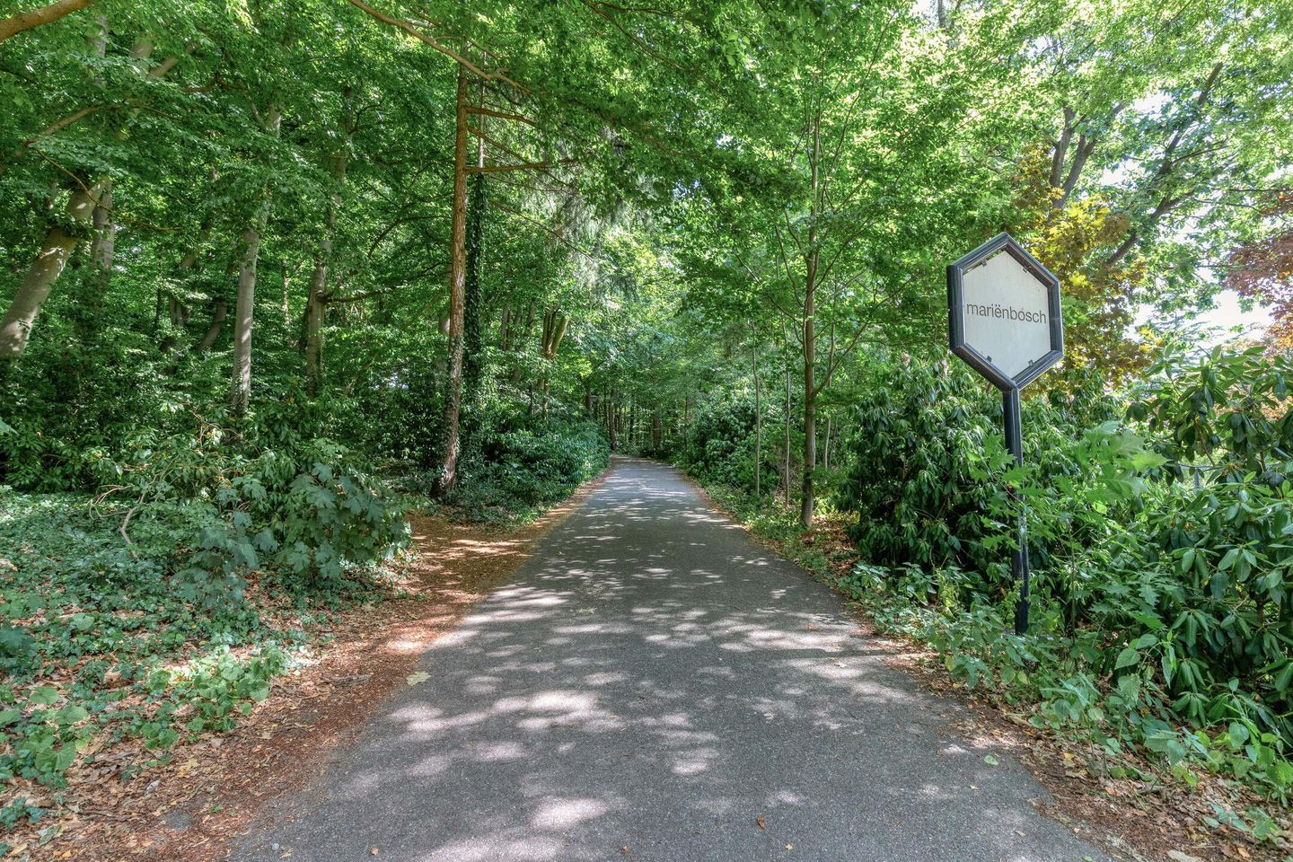 Photo 55 of Grameystraat 15