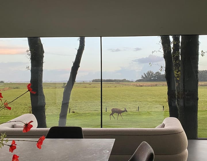 Foto 5 van Meentweg 28