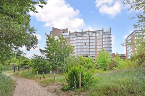 Groningsestraat 313 tertiary image