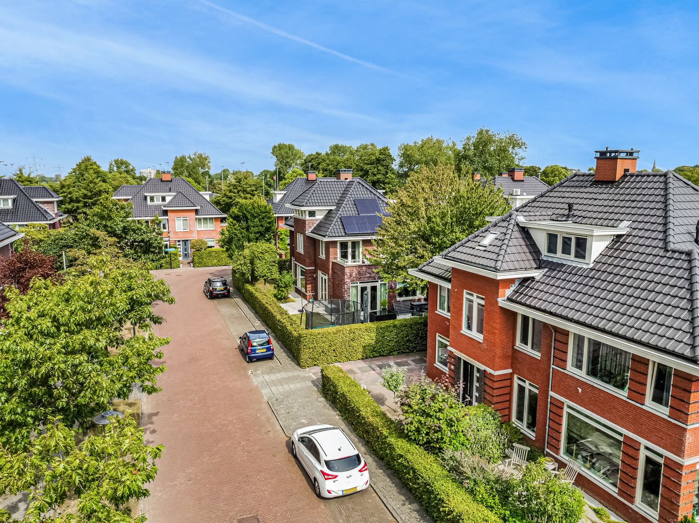 Foto 49 van Burgemeester Van der Hoevenlaan 52