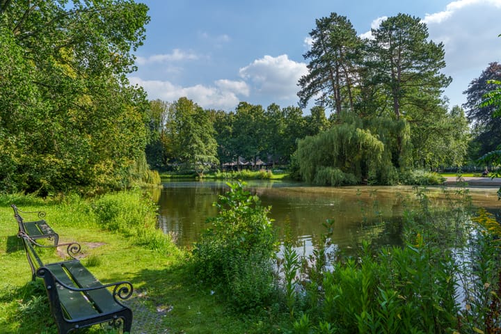 Foto 29 van Iepstraat 17