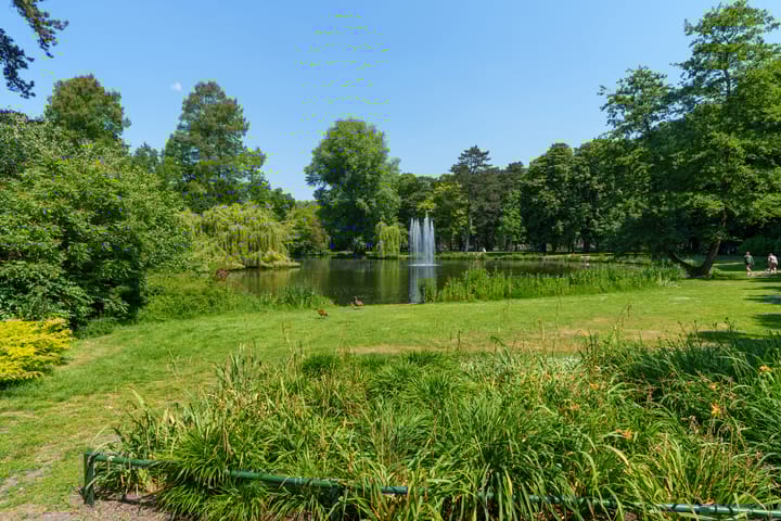 Foto 30 van Iepstraat 17