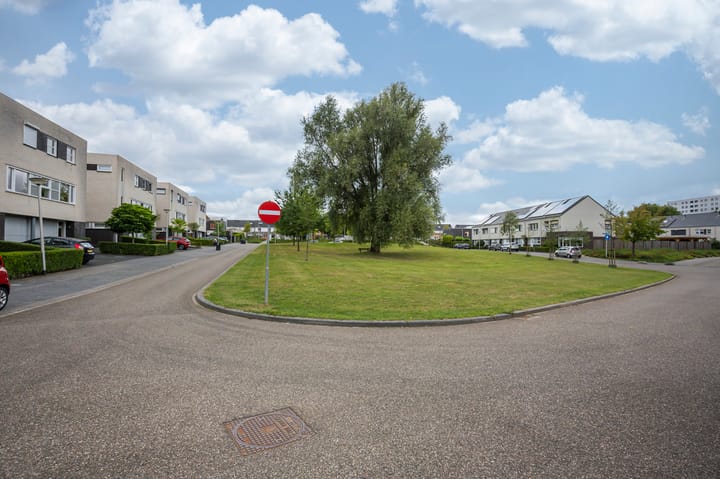 Foto 34 van Korenwolf 5