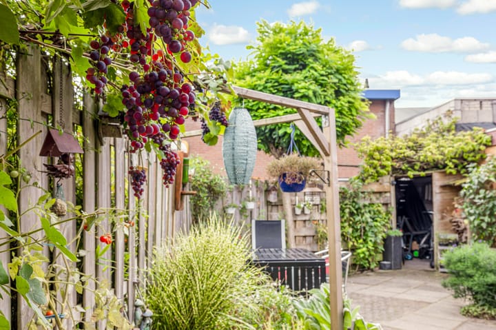 Foto 28 van Rijnzichtlaan 20