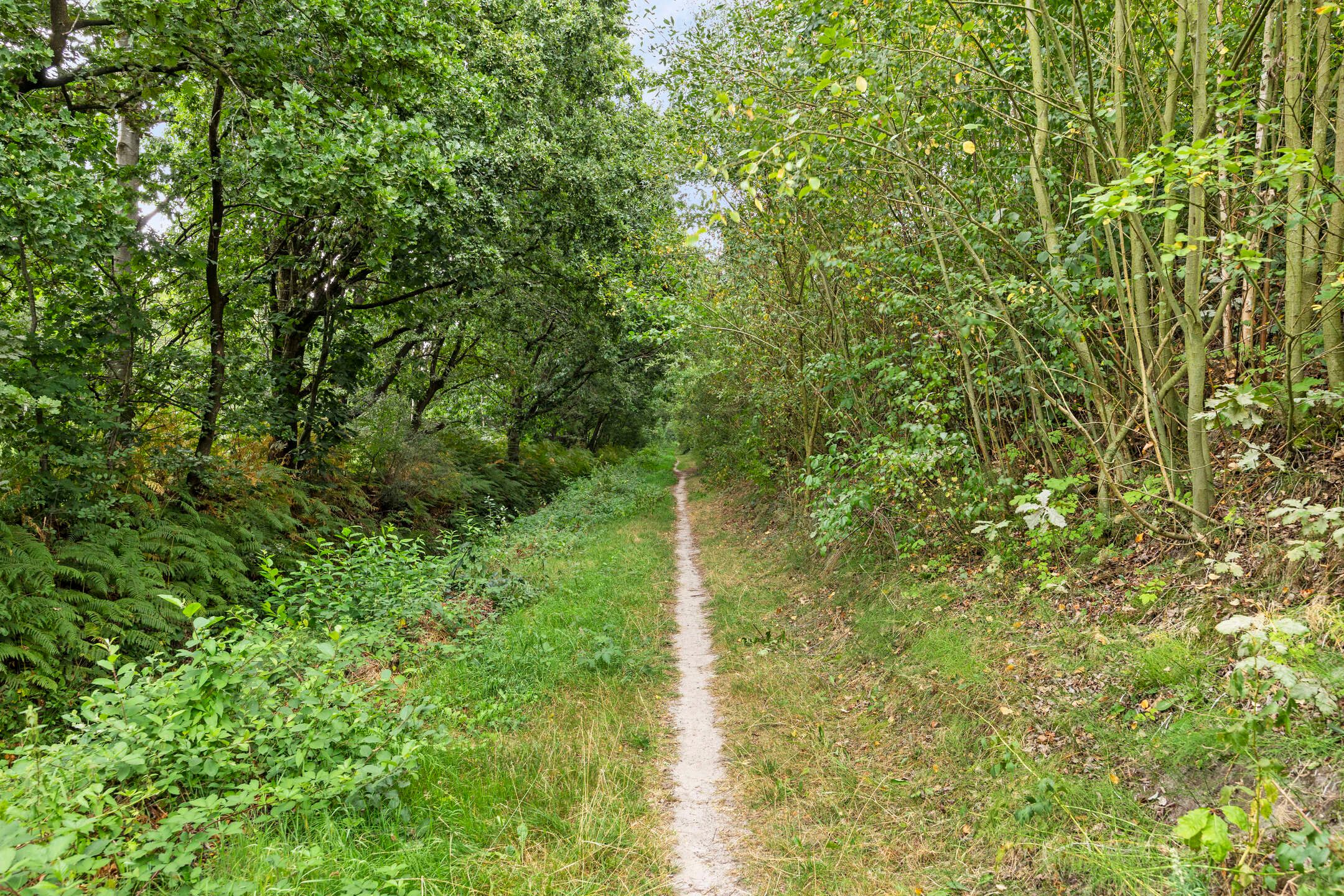 Foto 42 van Abcoudestraat 28