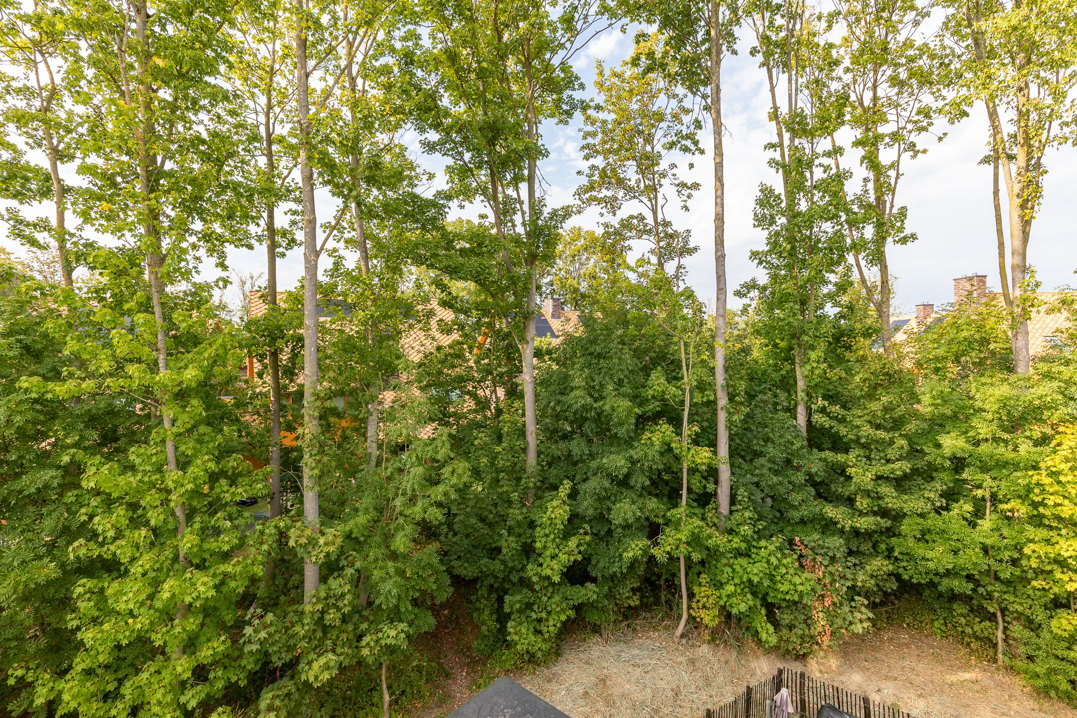 Foto 51 van Noorderduinstraat 807