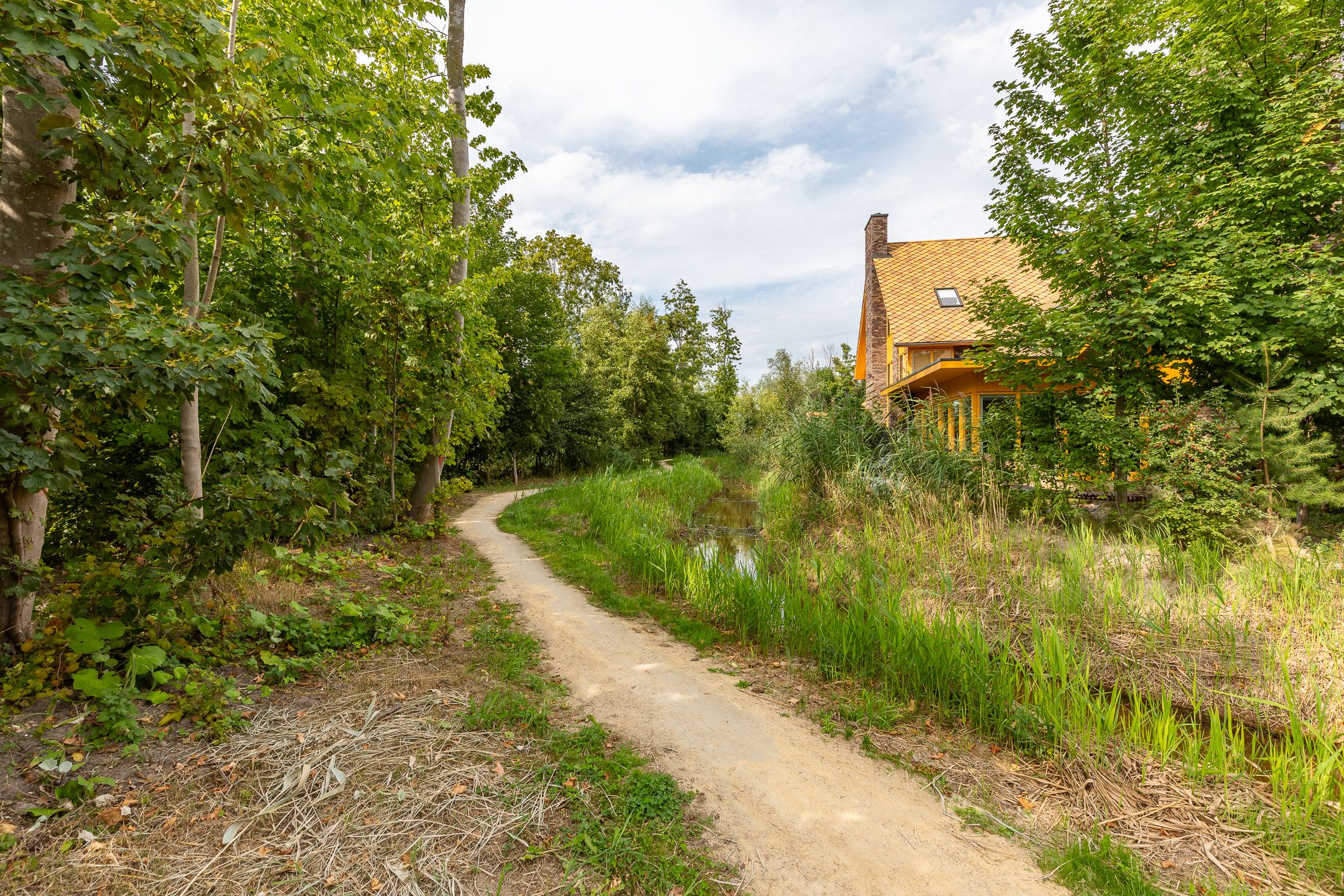 Foto 54 van Noorderduinstraat 807