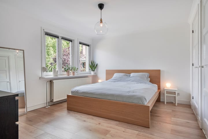 Foto 17 van Hoefstraat 252