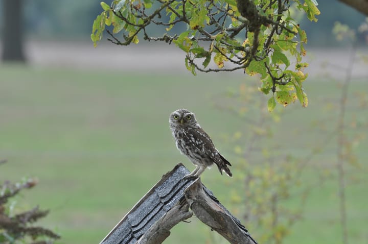 Foto 64 van Wethouder M. van Doorninckweg 19